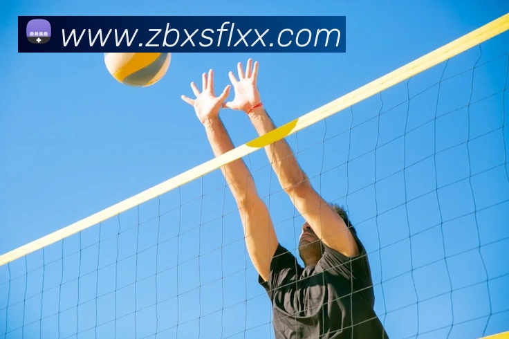 乐竞体育官方官网平台生态图